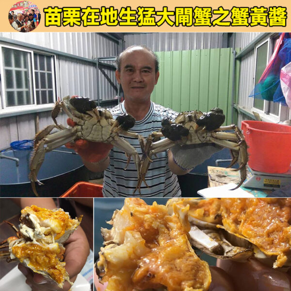 正宗台灣苗栗大閘蟹蟹黃醬 - Image 2