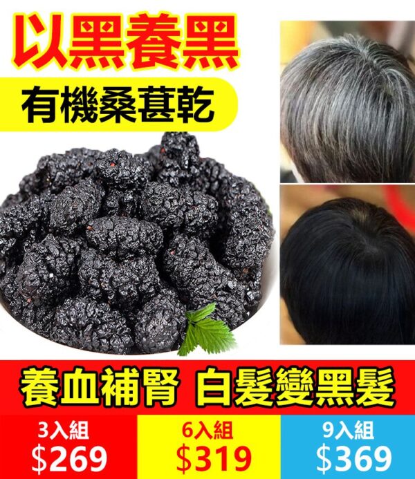 【台灣有機黑桑葚乾】堅持食用桑葚干能讓妳一根白也沒有 - Image 2