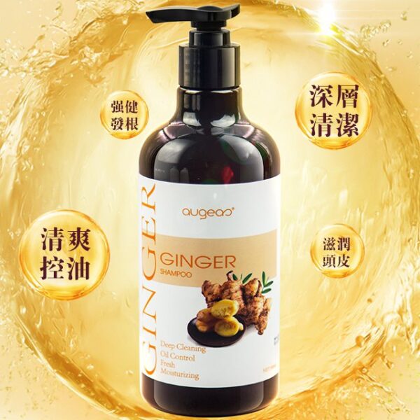 augeao滋潤清爽生薑洗發水 - Image 4