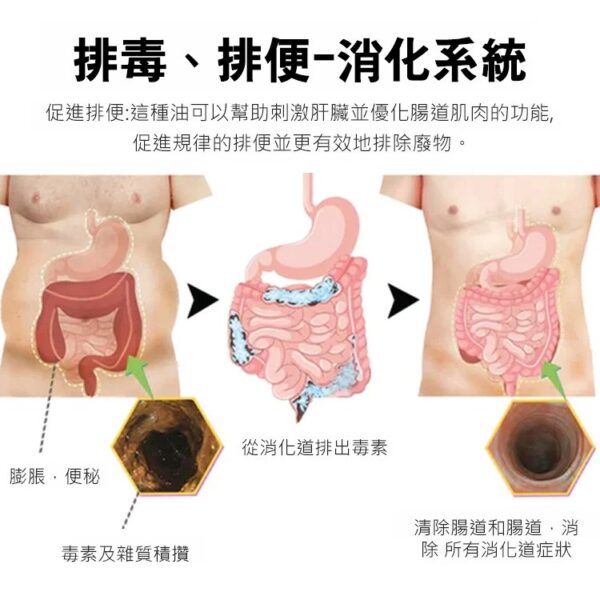 【養胃消口臭】丁香佛手沙棘片 - Image 5