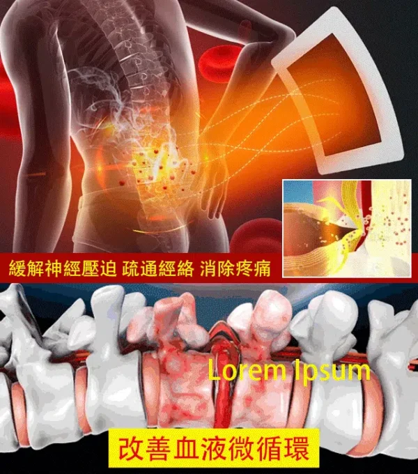李時珍腰椎穴位貼 - Image 3