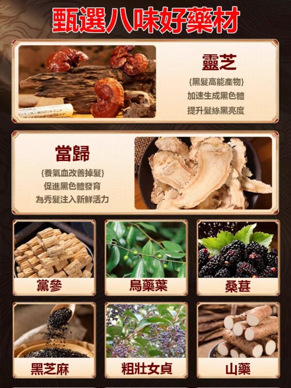 【白髮去無蹤】國藥本草根源黑髮烏參九黑片 - Image 2